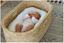 Moses basket